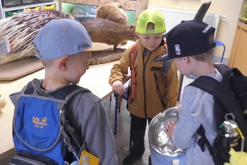 drei Jungen probieren etwas in der Zooschule aus