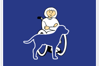 Symbolbild Rollstuhlfahrerin mit Hund davor
