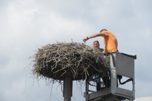 ein Mann und eine Frau schauen in ein Storchennest, stehen in einem Hubsteiger