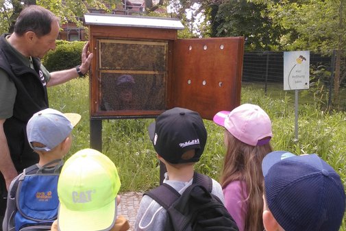 ein Erwachsener erkl&auml;rt einer Kindergruppe etwas mit Bienen