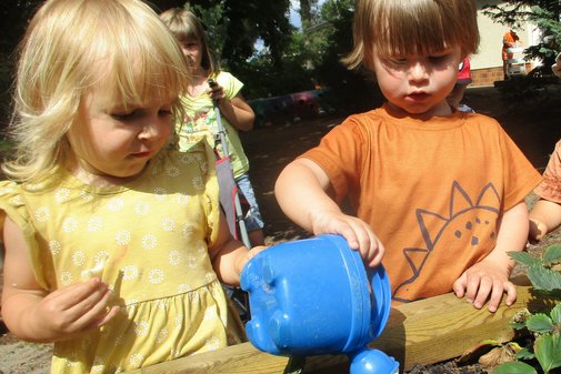 zwei Kinder gießen Pflanzen mit einer blauen Gießkanne