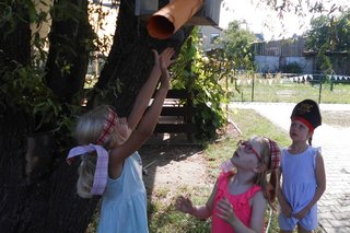 die Schatzkarte war im Baum versteckt