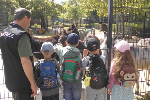 Kindergruppe steht vor mehreren Eseln
