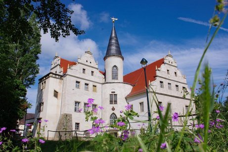 Vordergrund Blumen, Hintergrund Schloss, blauer Himmel