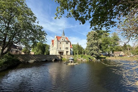 Vordergrund Schlossteich, Hintergrund Schloss und B&auml;ume