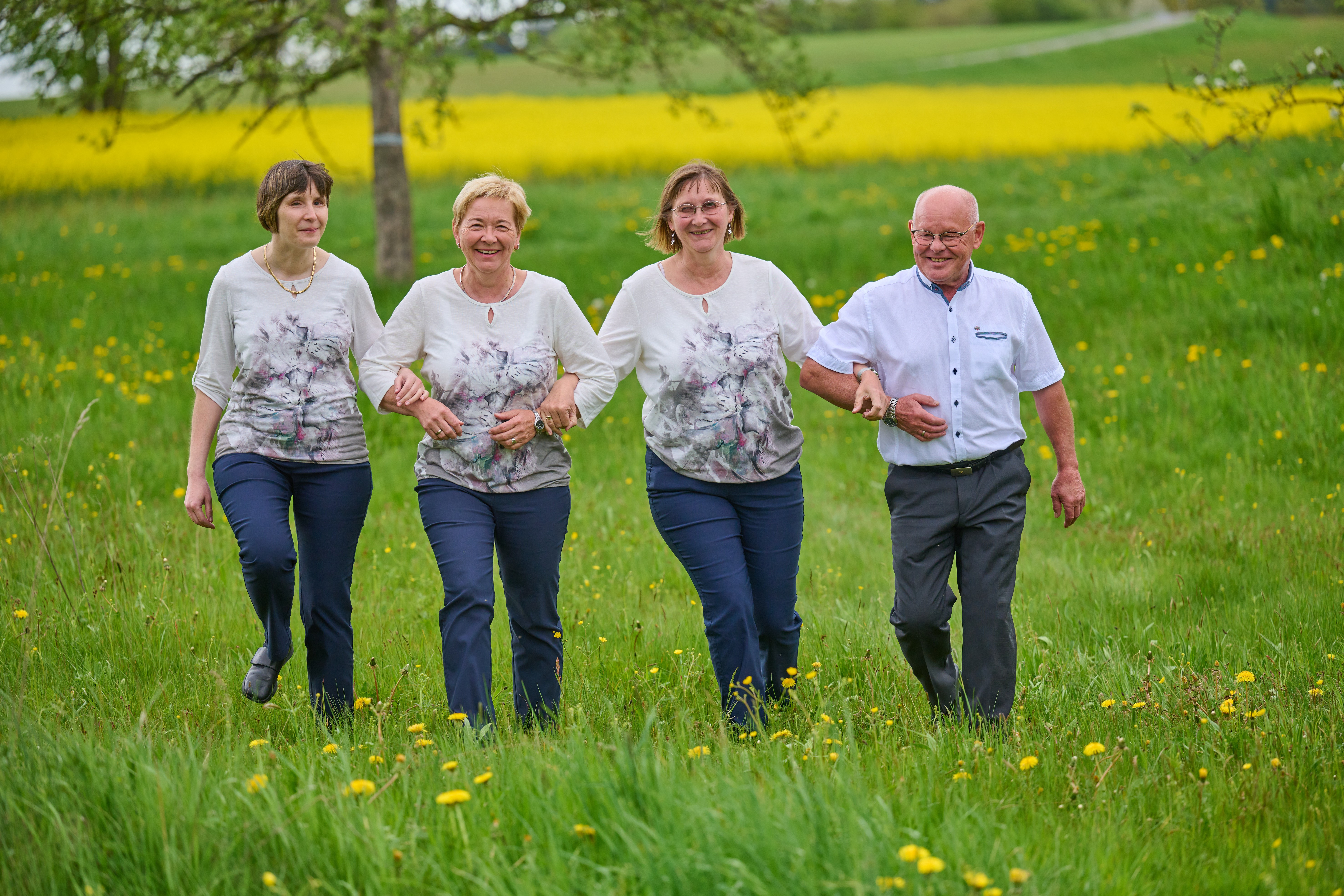 Die blinden H&uuml;hner auf einer gr&uuml;nen Wiese