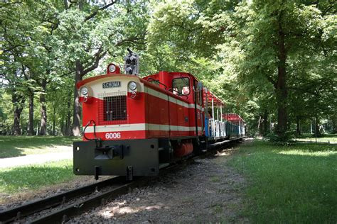 Rote Schmalspurbahn im Wald